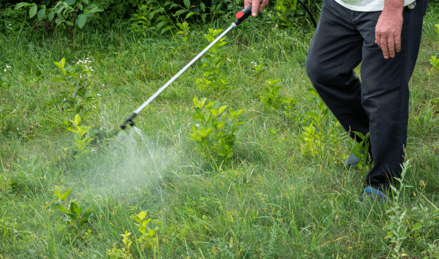 LAWN MAINTENANCE